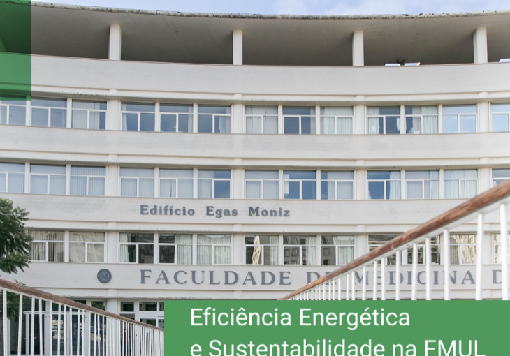 eficiencia